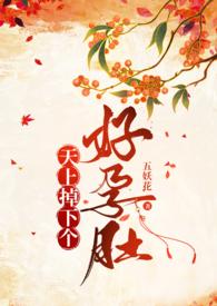 天上掉下个双胞胎结局