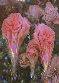 强制戒毒期限是多久