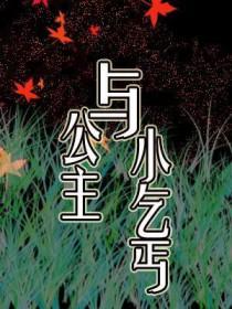 公主与小乞丐的故事