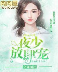 诱妻入怀宠少心尖宠