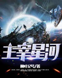 主宰星河多少字数