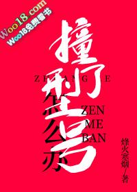 撞了型号怎么办txt番外