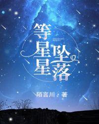 等星星坠落什么意思