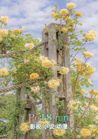 废弃大小姐完结