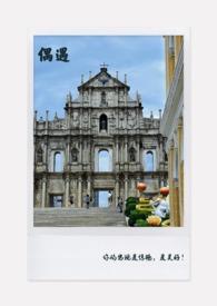 偶遇的真正含义是什么