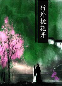 竹外桃花开简介