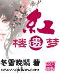 红楼遗梦 迷男 笔趣阁