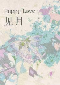 见月草功效与作用