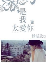 是我太爱你歌词