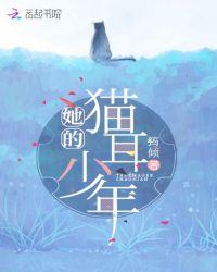 他的猫耳朵少年