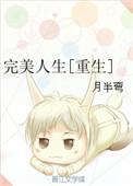 完美人生(重生)免费