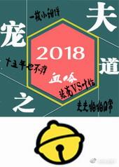 宠生宠夫之路