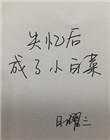 失忆后成了小白菜55章