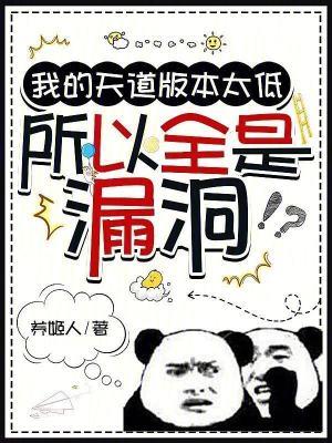 所以全是漏洞百度百科