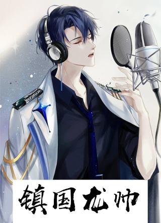 镇国龙帅100集完整版