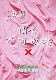 系统攻略NPc