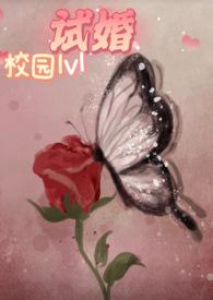 试婚(校园)