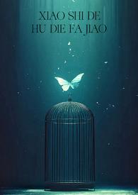 消失的蝴蝶发夹免费