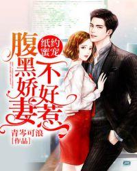 纸约蜜宠腹黑总裁不好惹麦西西