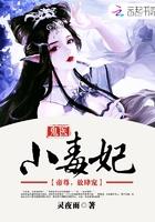 放肆宠免费阅读全文
