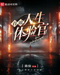 首席人生体验官免费阅读