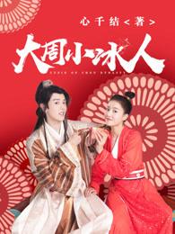 大周小冰人电视剧百度