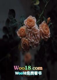 壁垒(骨科NP)_壁垒(骨科NP)(江至疏)_壁垒