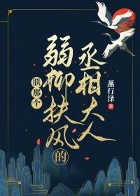 联那个弱柳扶风的丞相大人