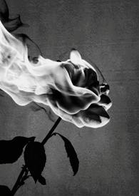 禁中非烟1v1作者锦换