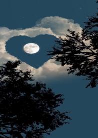 深情引诱演员表名单