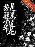 苗疆少年漫画图片