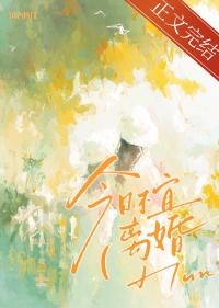 今天的黄历适合离婚吗