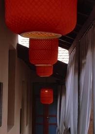 食寿公媳免费阅读