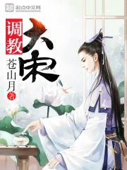 调教大宋电视剧