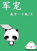 军宠军旅高干文