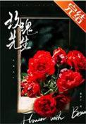 玫瑰先生全文免费阅读