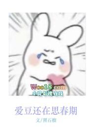 爱豆全文阅读