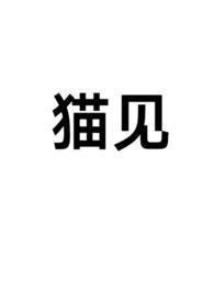 猫见市集