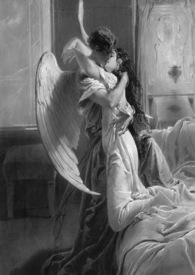 异恋原则(人外体型差)猫给