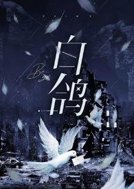 白鸽最新作品