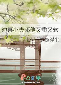 冲喜小夫郎他又乖又软by南柯一梦是浮生