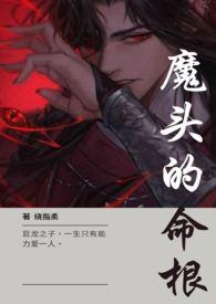 魔头txt
