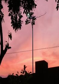 乖宠全文免费阅读全文无删减