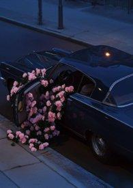 锁清秋什么意思