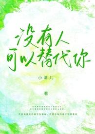 没有人可以替代你(1v1校园h)作者 小清儿