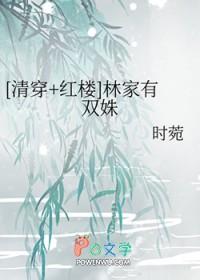 清穿红楼林家有双姝