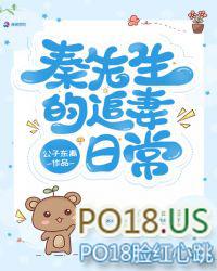 秦先生宠妻日常免费阅读无防盗