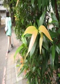 一起同居吧日剧