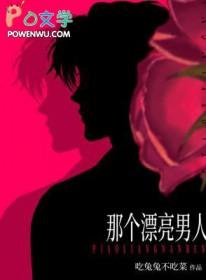 那个漂亮男人免费全文阅读