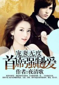 宠妻aa制首席爱妻入骨